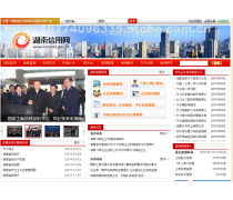 企業(yè)定制
