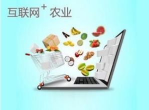 趙朝政創(chuàng)建大理農(nóng)副產(chǎn)品網(wǎng).手機,打造農(nóng)副產(chǎn)品行業(yè)領軍平臺