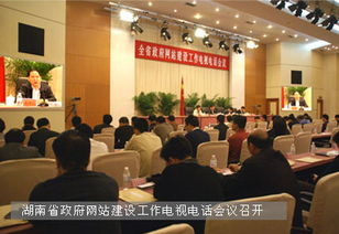 湖南省政府網(wǎng)站建設(shè)工作電視電話會議召開