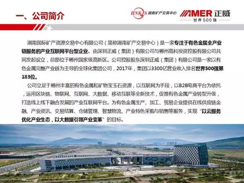 郴州又有大動作了,峰會大咖說 我們這樣要構建中國銀都白銀產業互聯網平臺