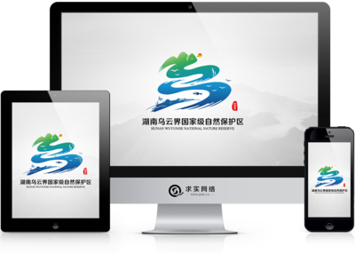 常德求實網絡科技有限責任公司|常德網絡公司、常德網站建設制作