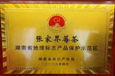 張家界市政府門戶網(wǎng)站 - 區(qū)縣聯(lián)播