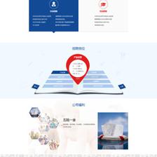 湖南英氏營養(yǎng)品股份網(wǎng)站建設(shè)項目