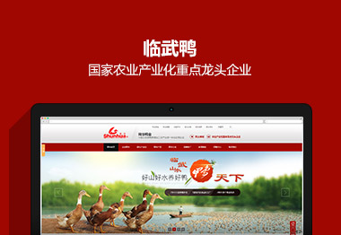深度網(wǎng)提供企業(yè)營銷型網(wǎng)站建設,營銷型手機網(wǎng)站建設
